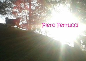 Ervaringen - Piero Ferrucci
